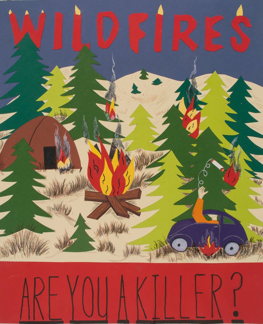 wildfire prevention