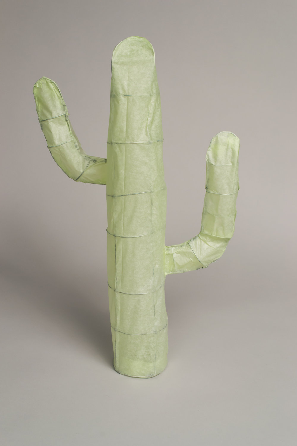 interior forms: cactus 