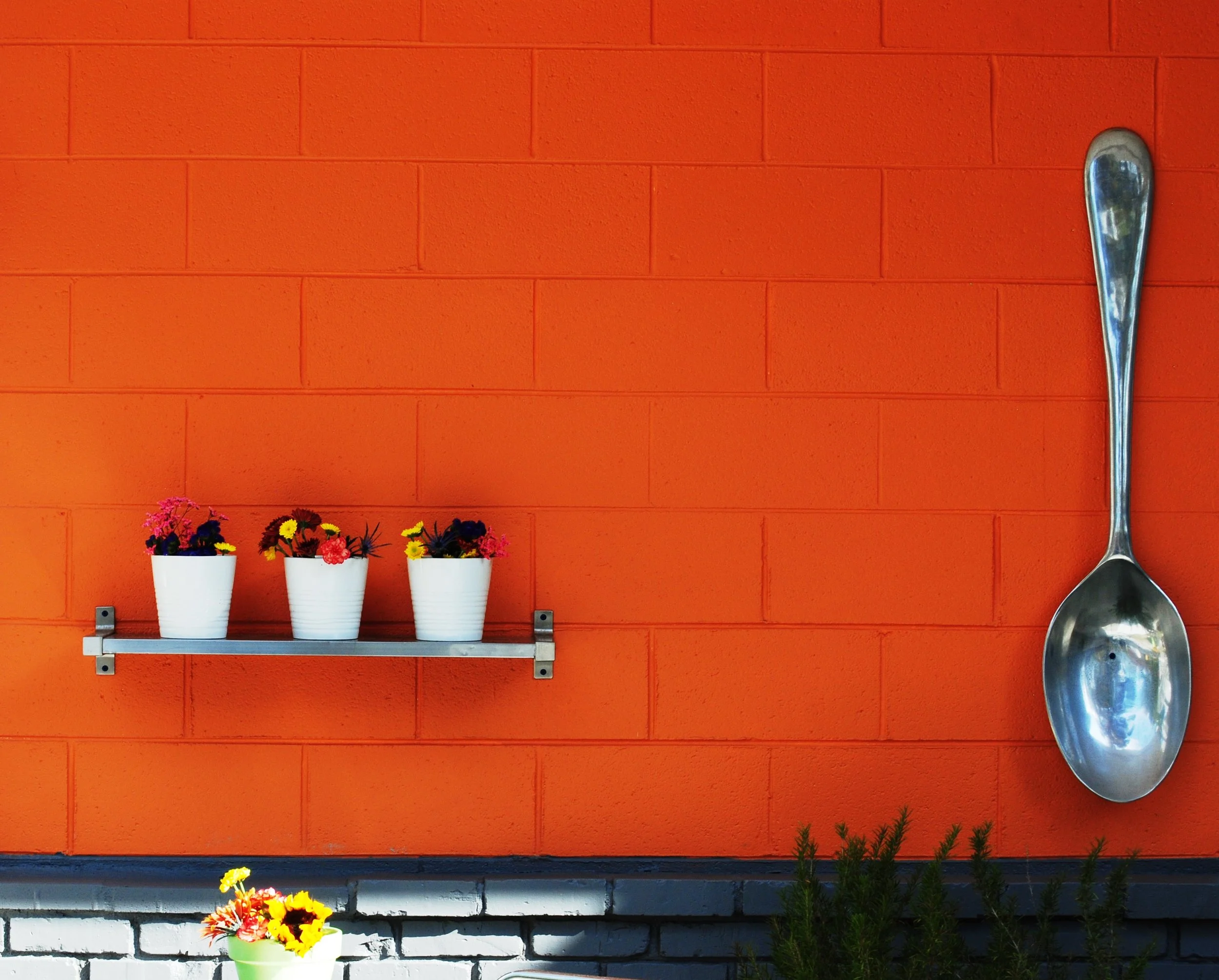 The Asheville Kitchen Cooking Classes Contact Page — The Asheville Kitchen