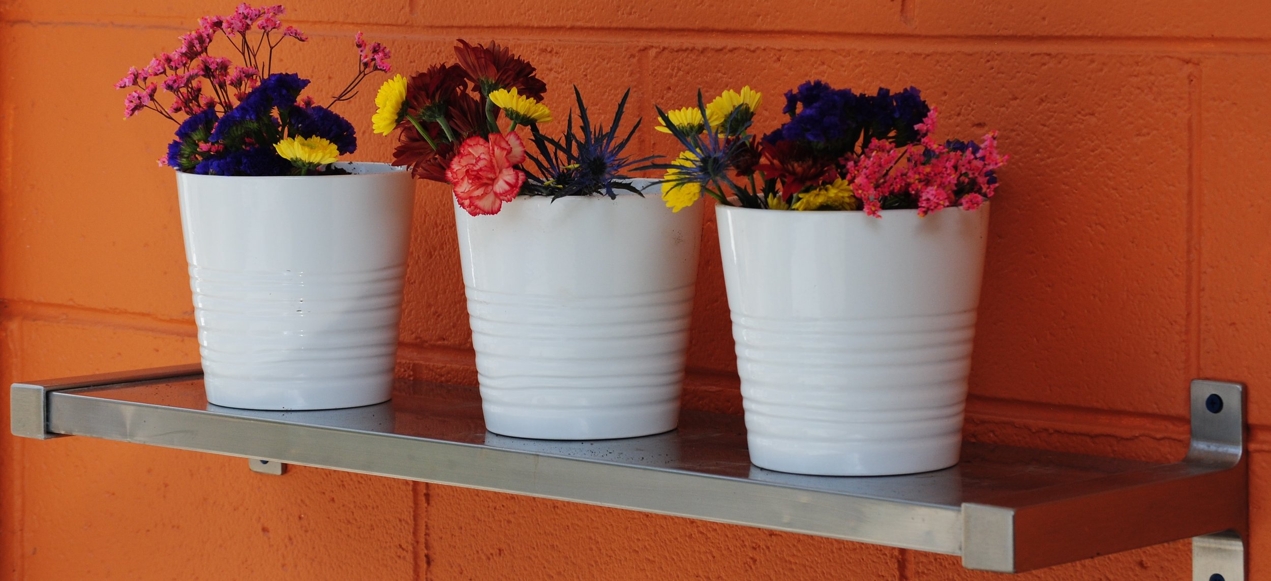 The Asheville Kitchen Cooking Classes Contact Page — The Asheville Kitchen