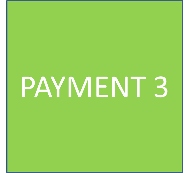 payment 3.png