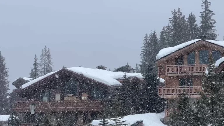french chalet.jpg
