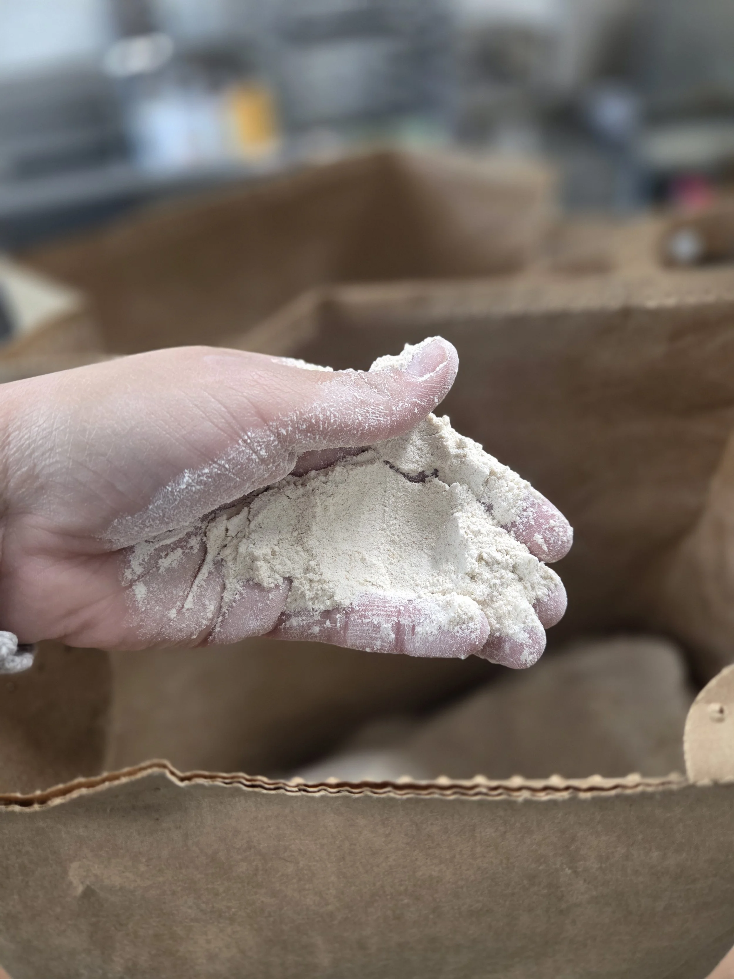 flour photo.jpg