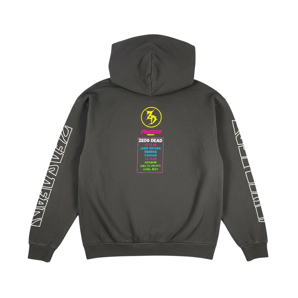 chi-hoodie-back.png.webp