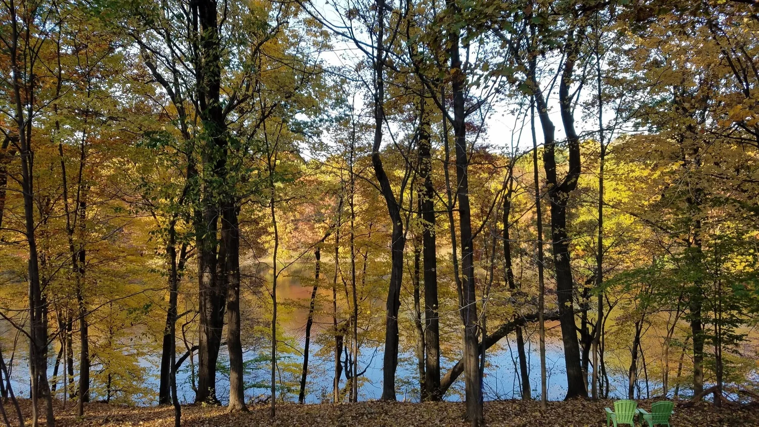 Lake O The Woods Club