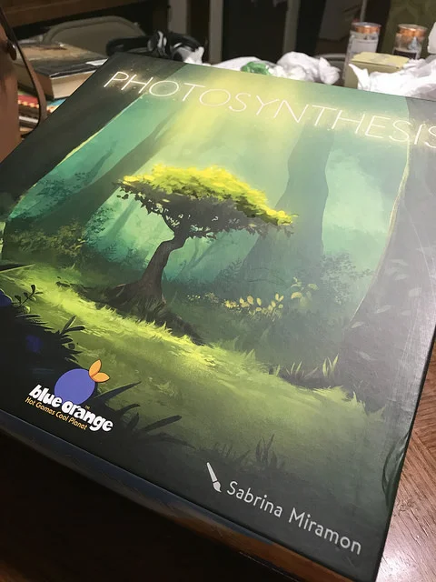 Box 1.jpg
