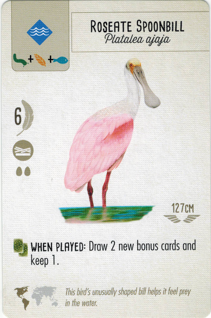 roseate card.png