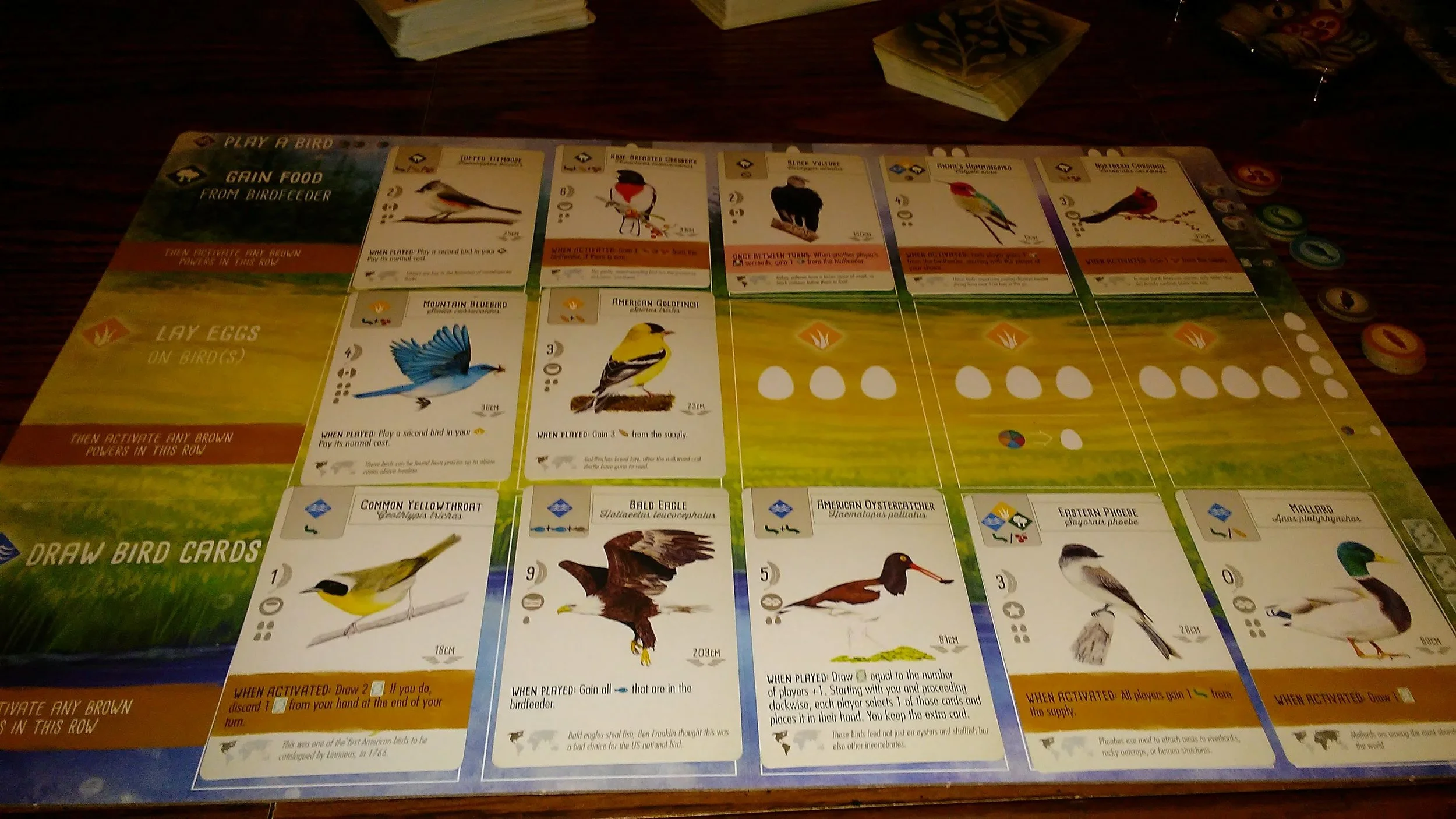 0525192028.jpg