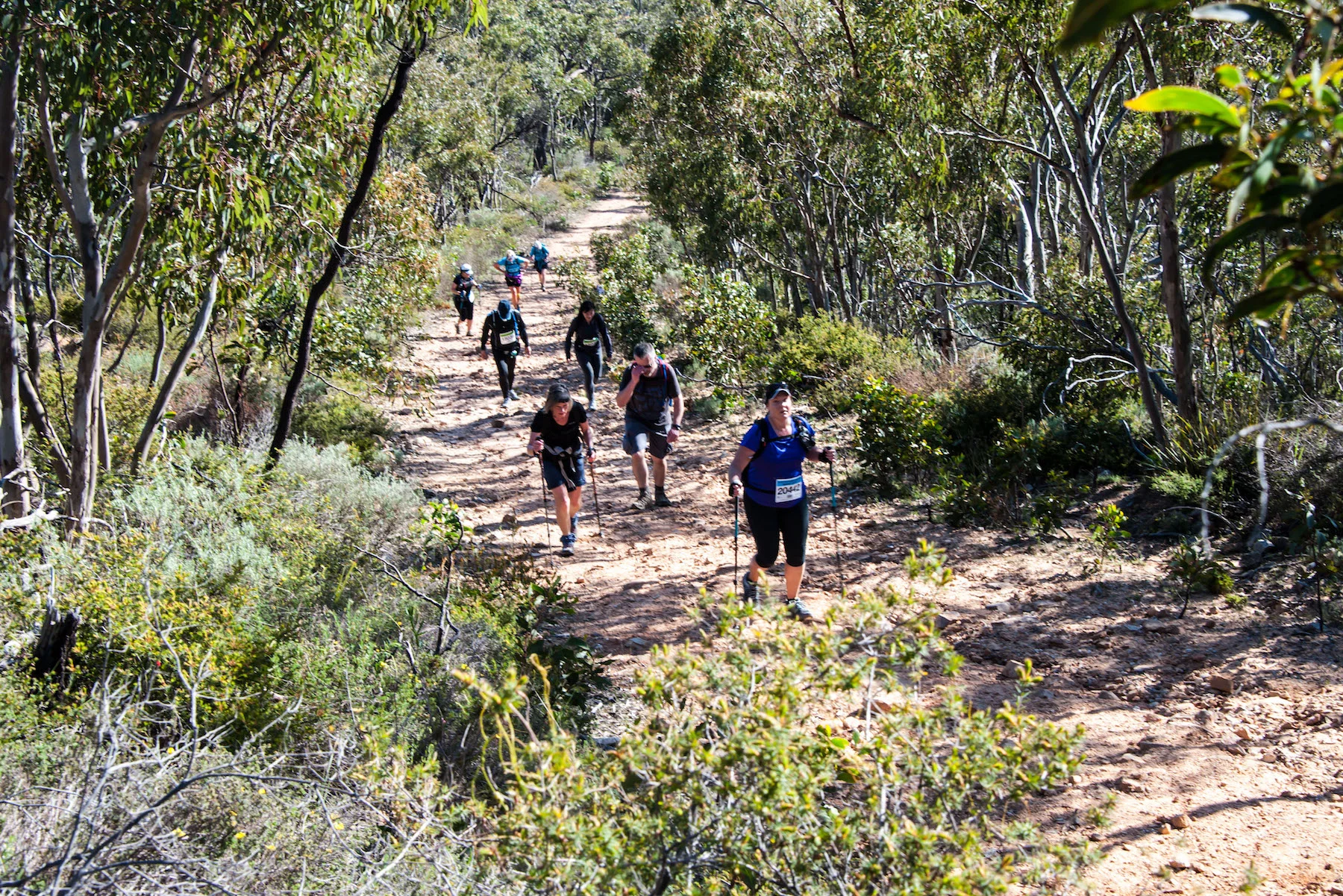 operation-flinders-challenge-023.jpg