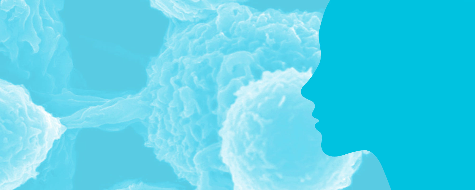 npb_banner_nk_face-2000x750.jpg