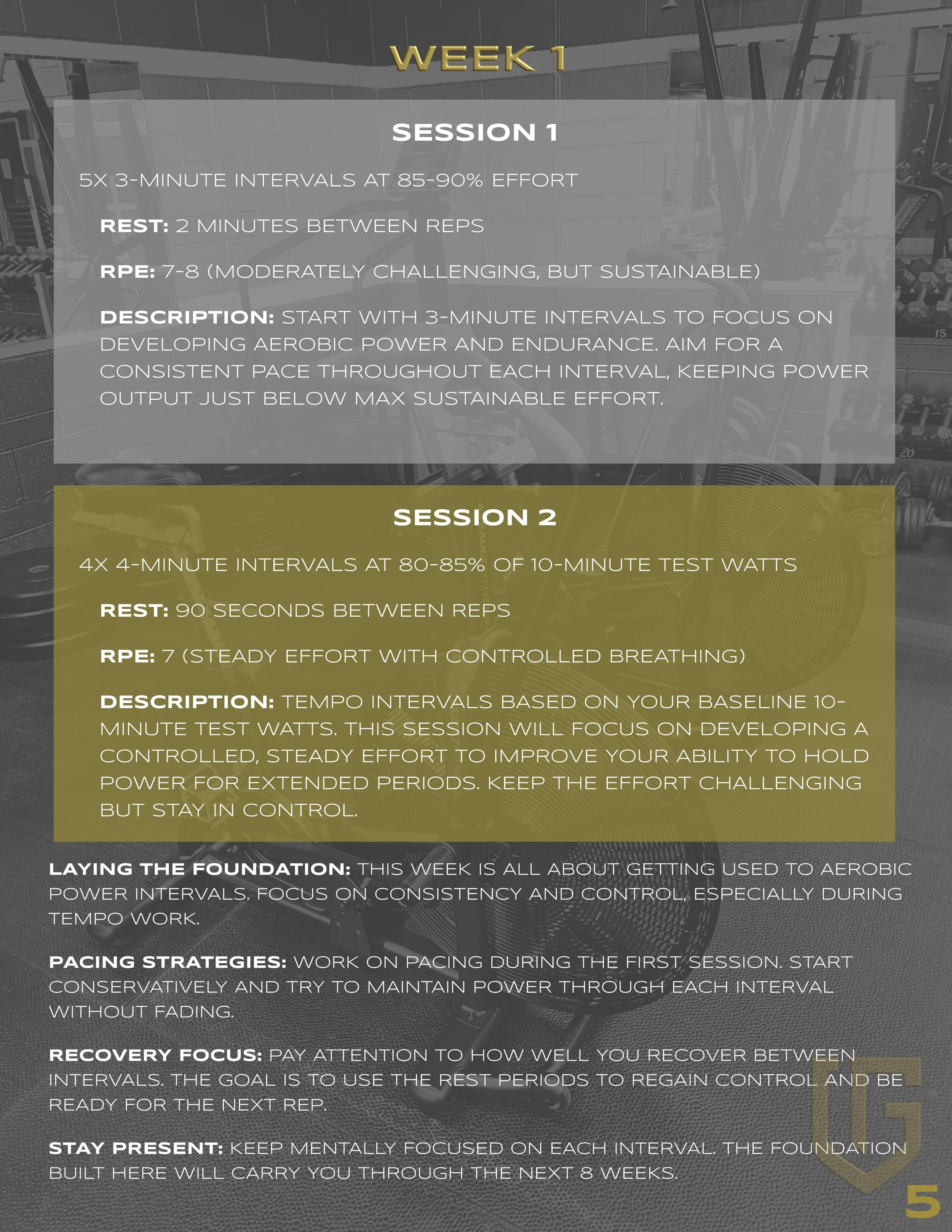 Fan Bike Series - Gold Standard SAMPLE.jpg