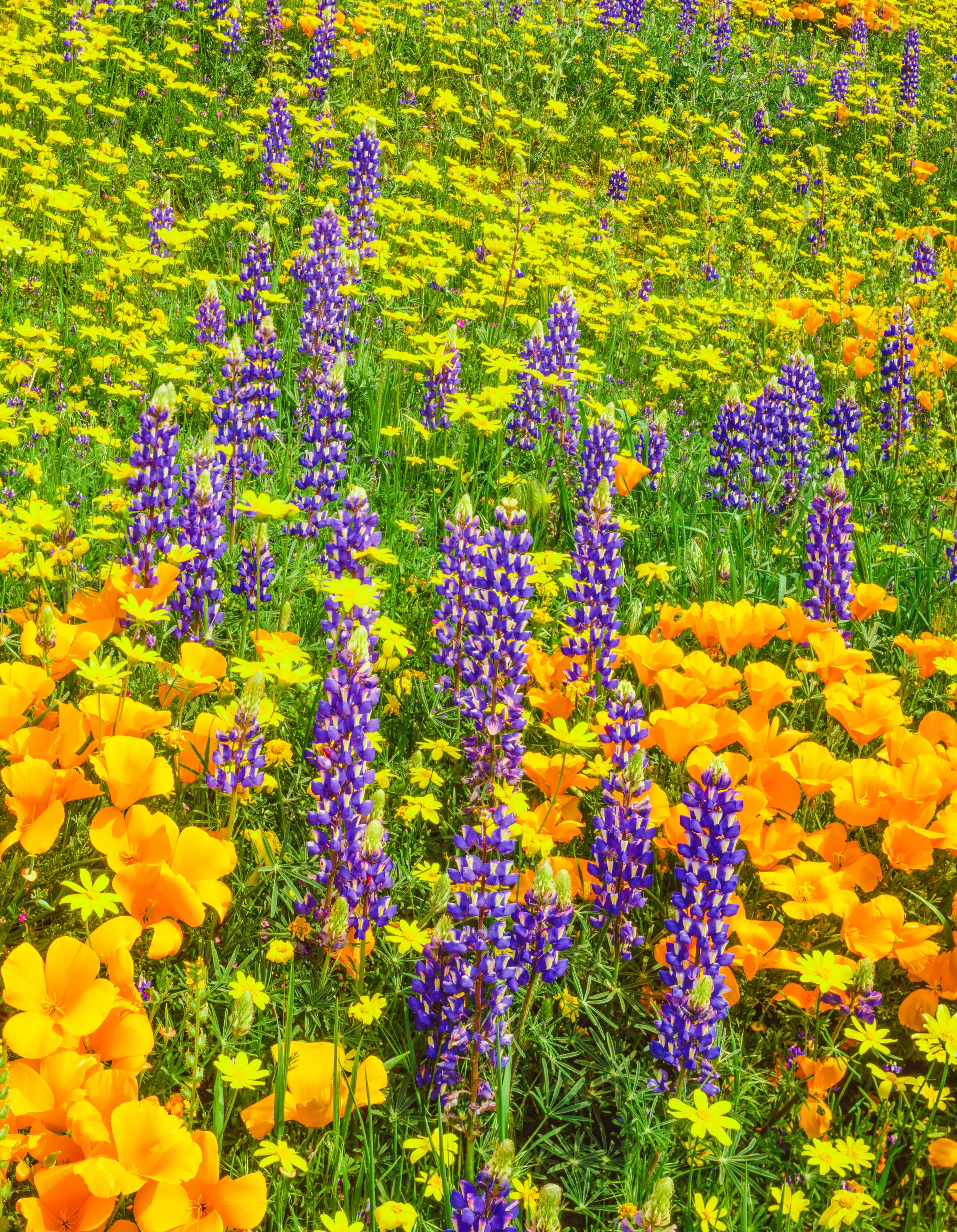 Spring Break - No School