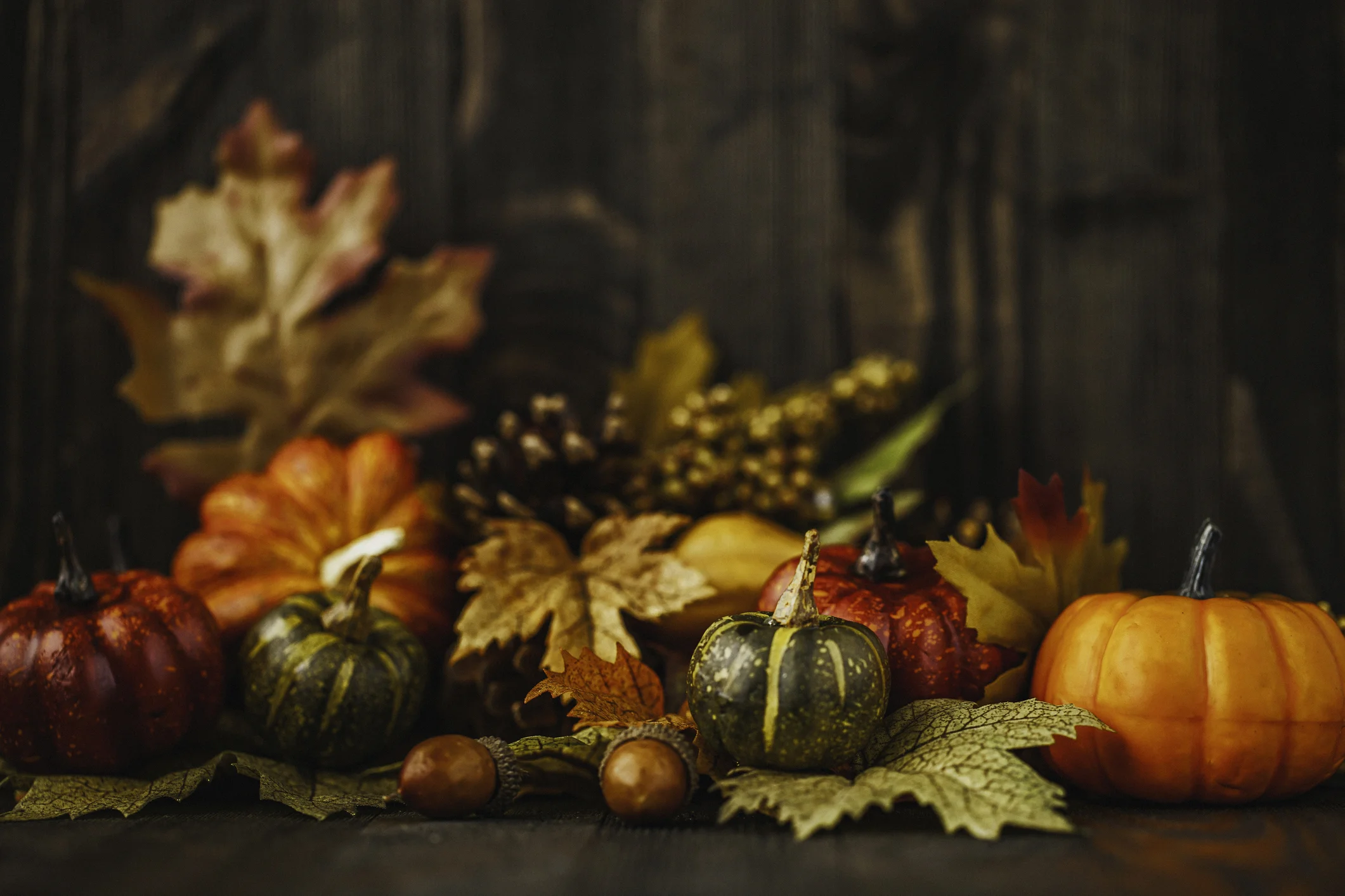 Thanksgiving Holiday - No School 