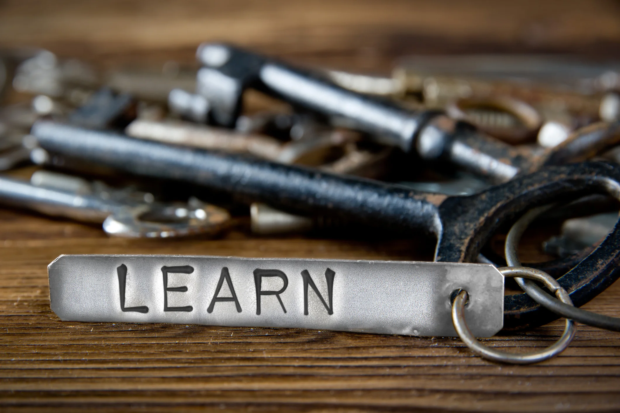 Professional Development Day - No School