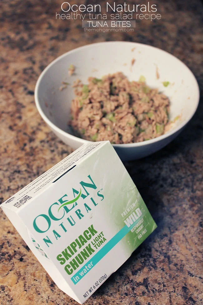 healthy-tuna-salad-recipe-7