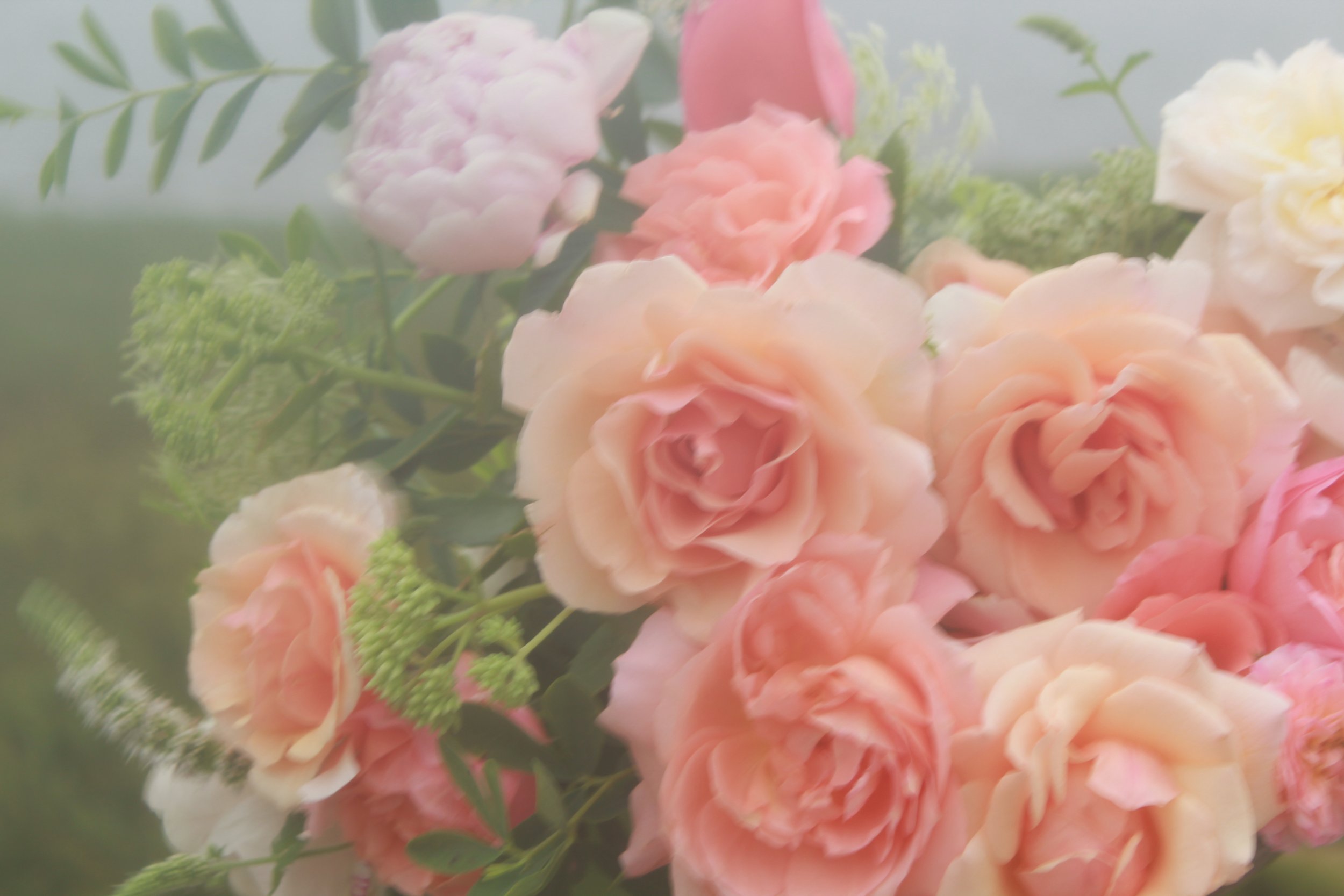 Flowers Blooming by Month