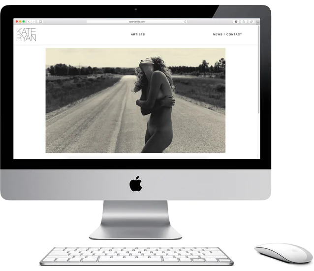 New website project management