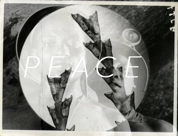 peace5-1822892.jpg