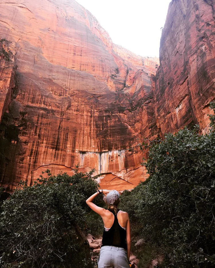 Zion National Park, UT