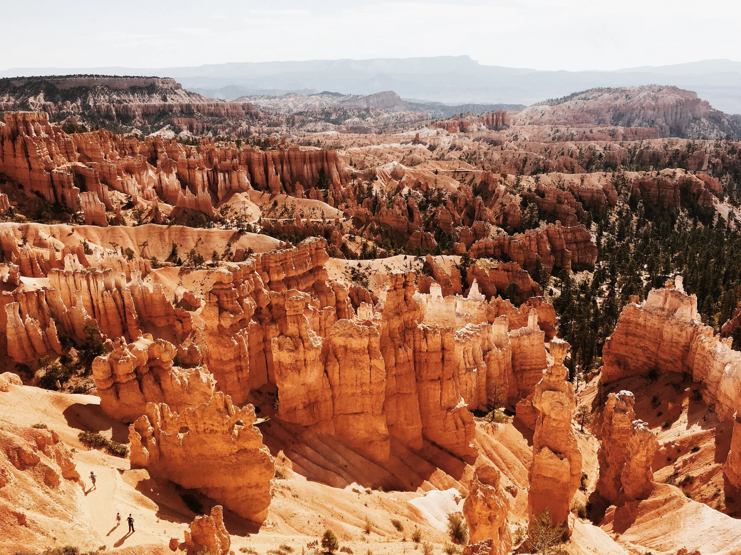 An Outsider Looking In