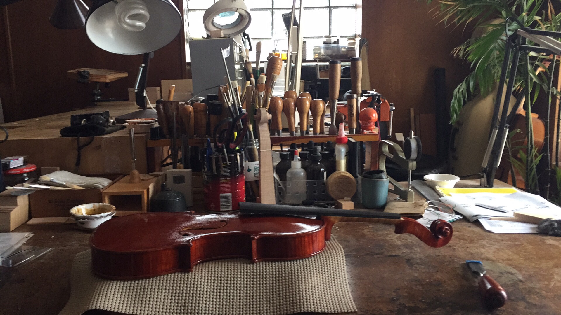 violin set up