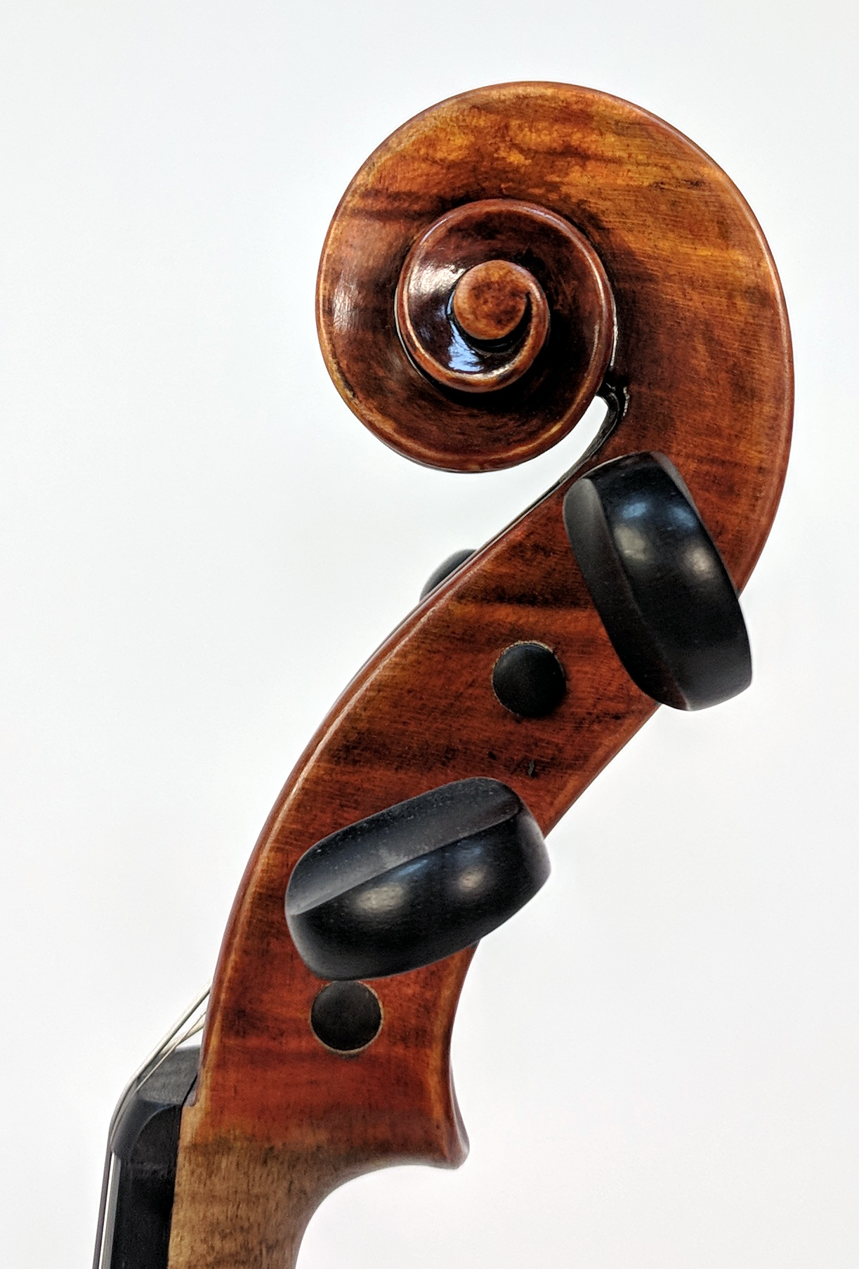  Century Strings Violin 2012 