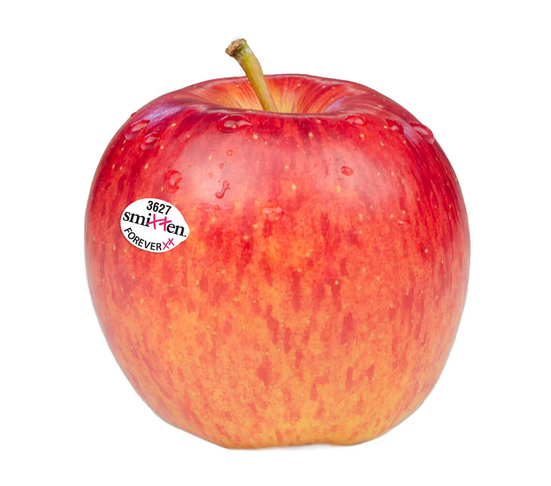 Smitten resembles its grandparent Gala but is less prone to splitting and stores well.