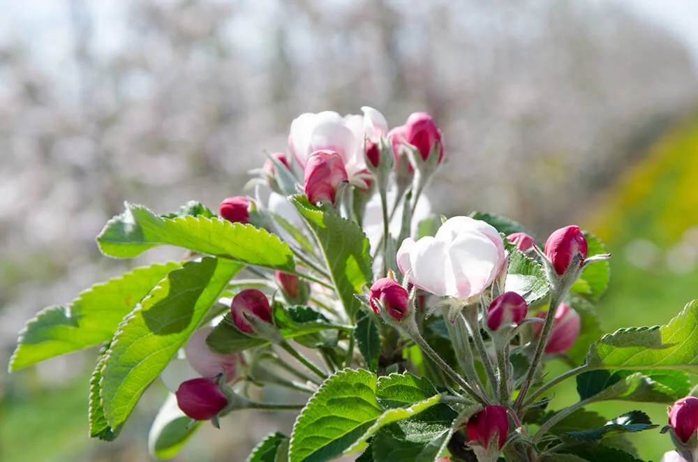 All Eyes on Washington