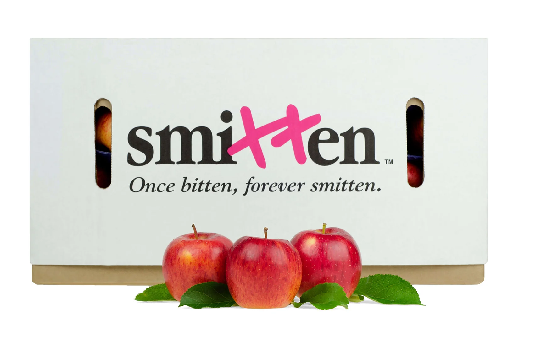Smitten-Studio-2016-0726.jpg