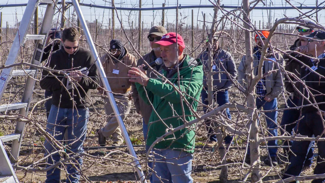 Dr. Stuart Tustin (center, red hat) of New Zealand’s Plant and Food Research introduces a group of North American Smitten growers to new training concepts.