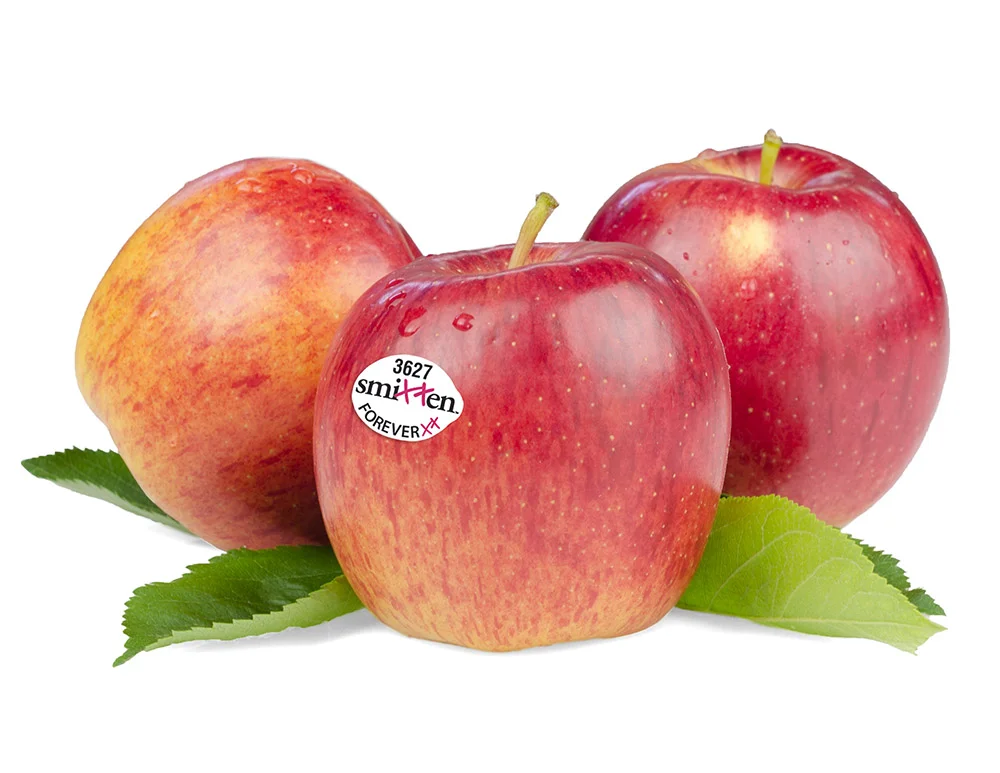 Smitten has lit up apple categories at every chain that featured it this fall, including setting a record at one major chain for monthly apple sales.