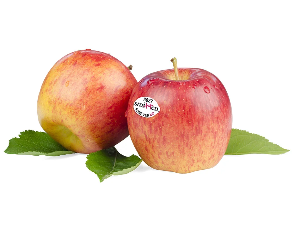 Set to ship through the end of January, the Smitten™ apple will be a great holiday apple thanks to its ideal baking quality.