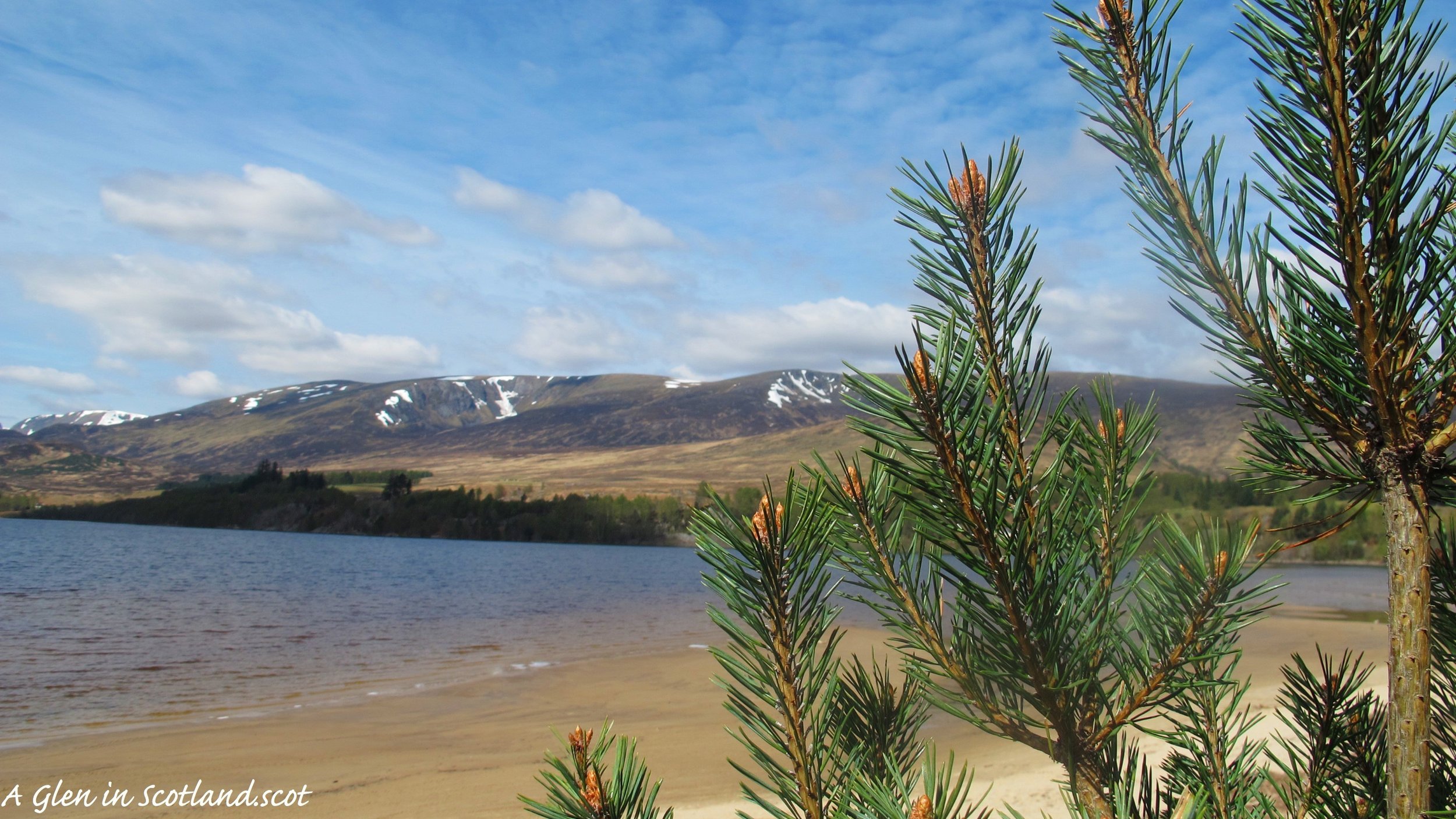 Beach at Loch Laggan