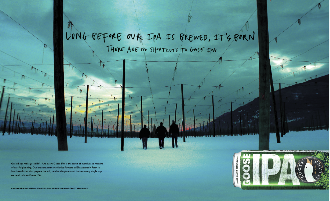 IPA_Ch1_Spread_Cropped.png
