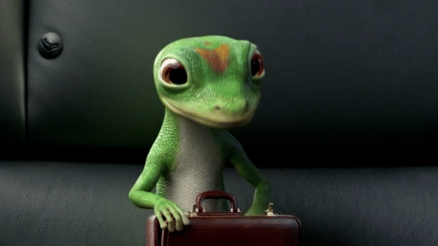 undefined-high copy 10.gif