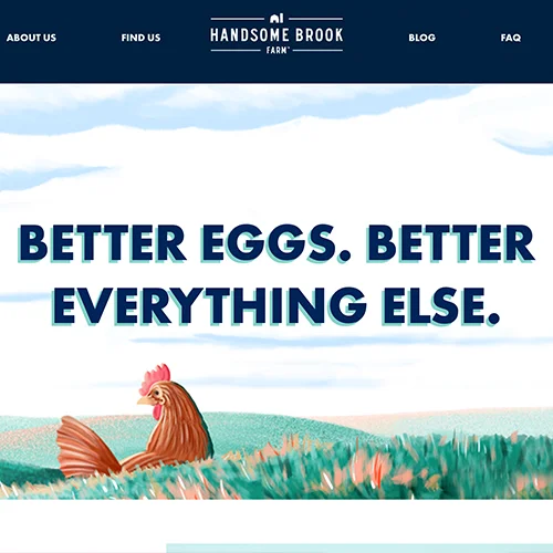 18 Website - Portfolio - Handsome Brook Farms.jpg