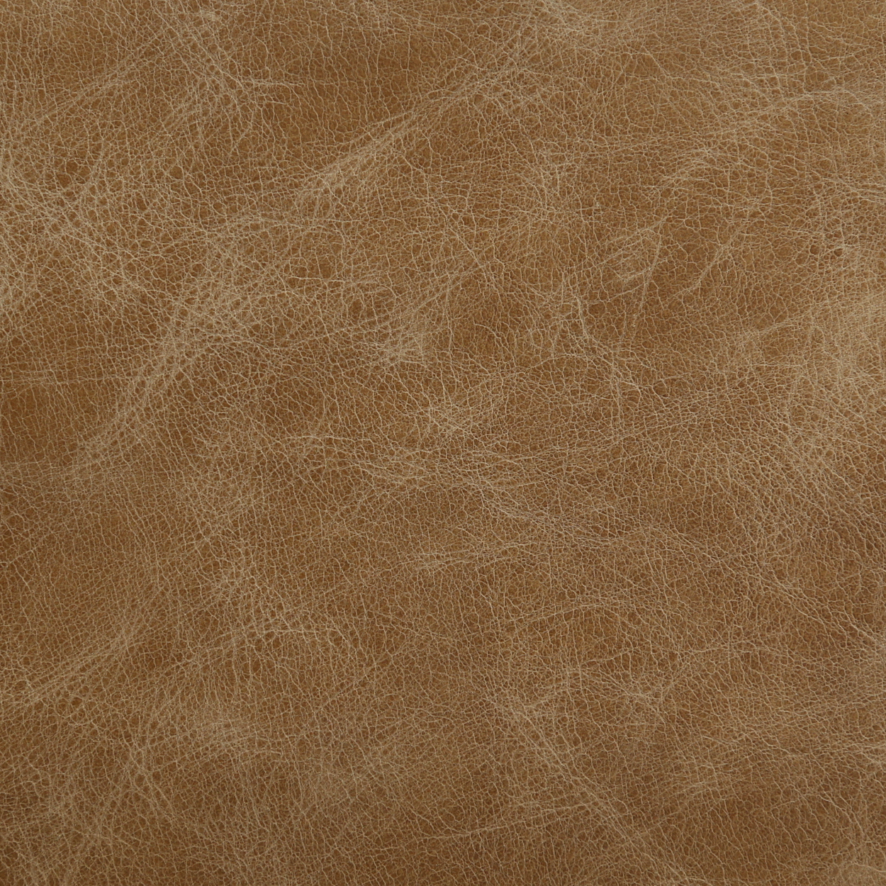 Distressed Leather - Terra