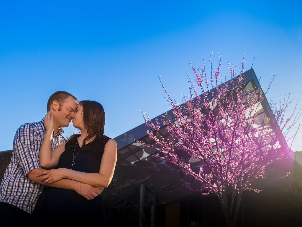 Engagement Portrait, Raleigh, NC