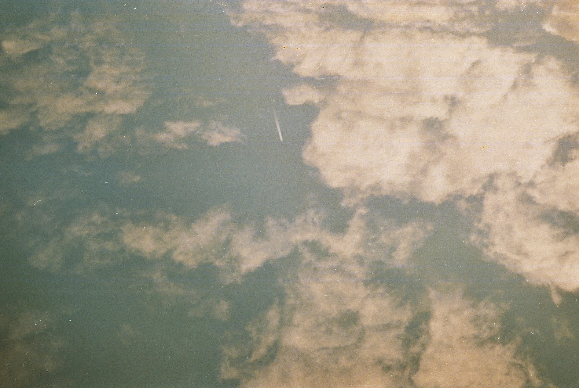 pic230.jpg