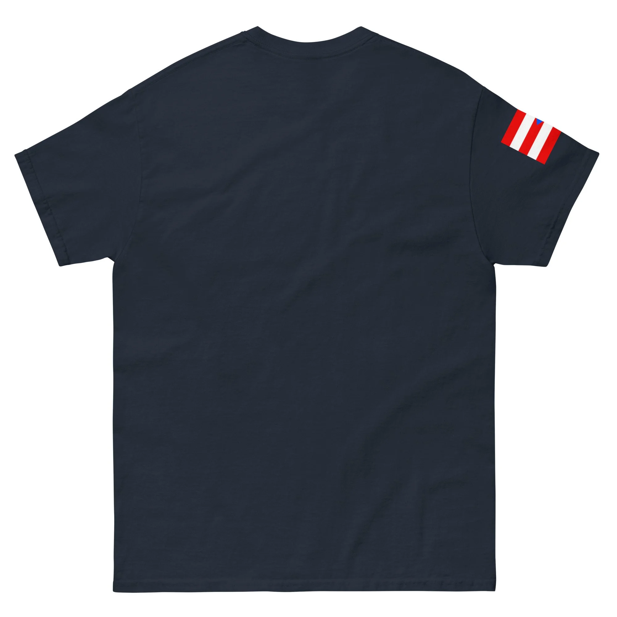 unisex-classic-tee-navy-back-697597eb0ace9.jpg