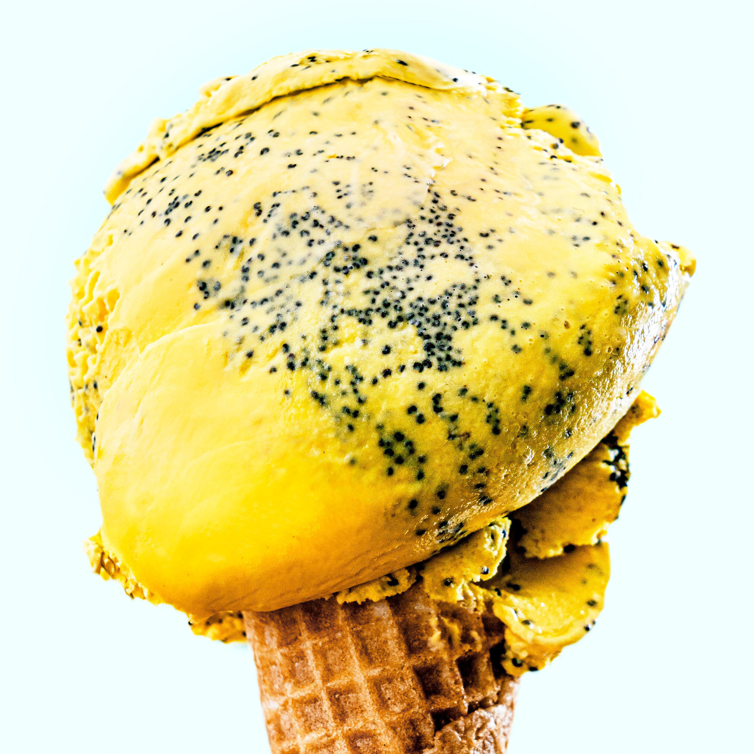 Lemon Poppy Seed
