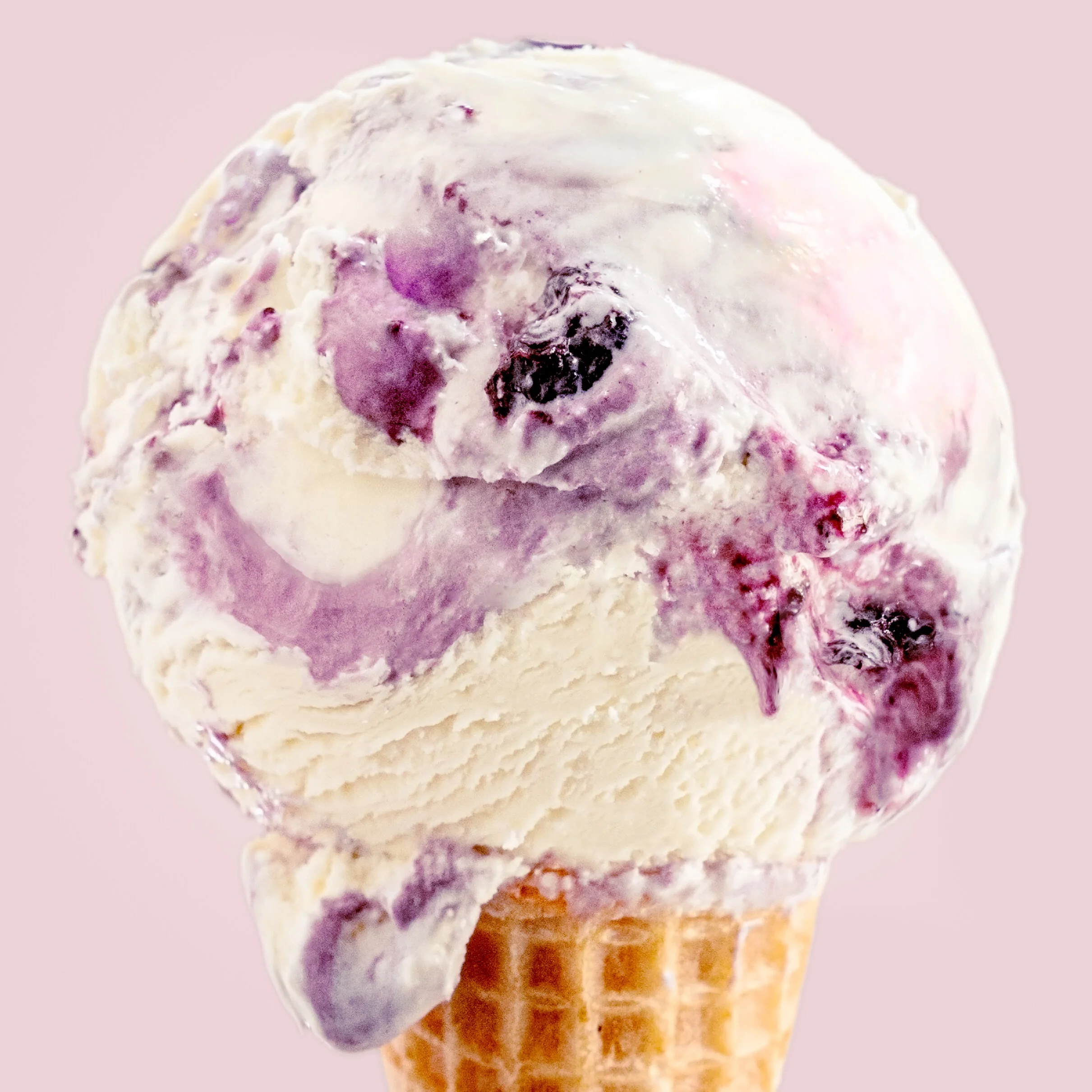 Sour Cream Blueberry