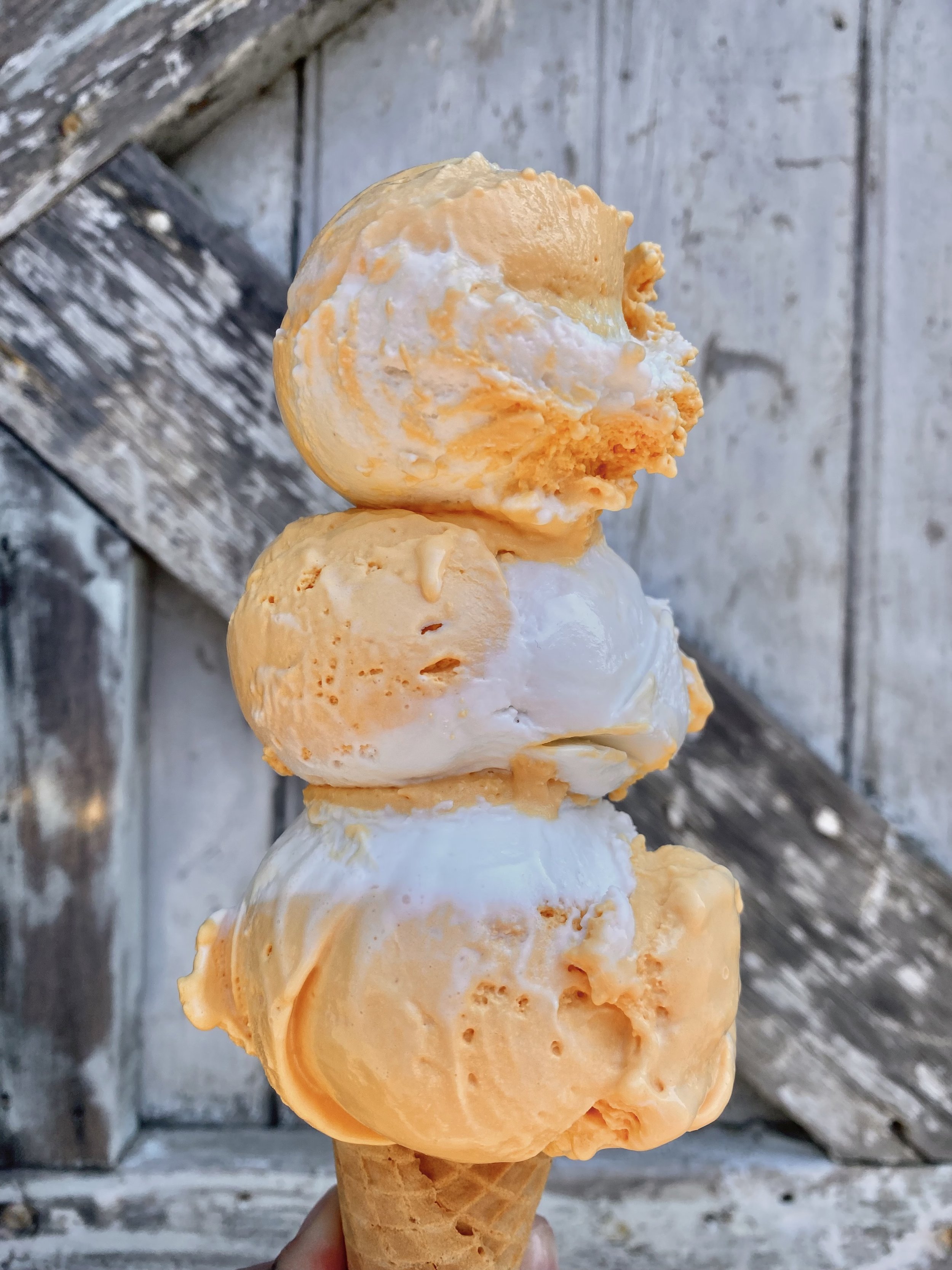 Orange Coco Creamsicle - Dairy Free