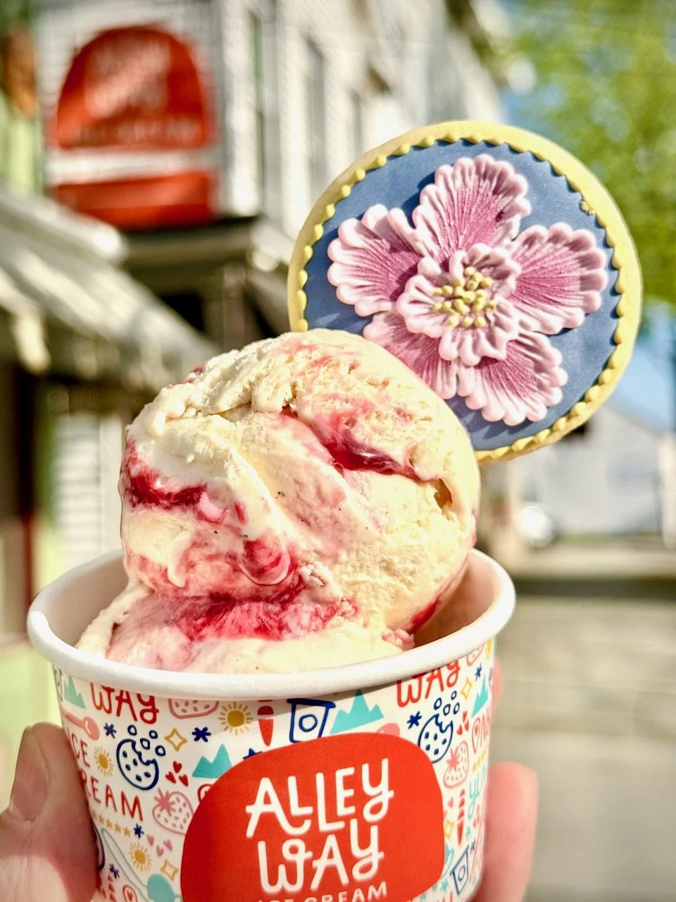 A cup of Alleyway's raspberry vanilla bean ice cream topped with a hand-decorated lemon sugar cookie by SweetAmbs, photographed in front of Alleyway Ice Cream in Saugerties, NY, for their Mother's Day collaboration.