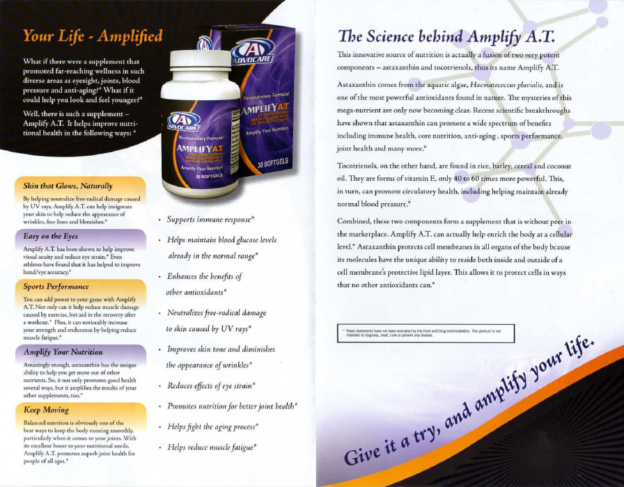 Amplify AT Brochure (Interior)