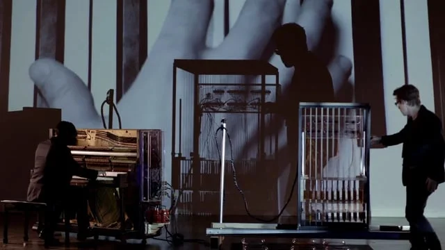 La couleur de la musique par Philippe Van Eetvelt