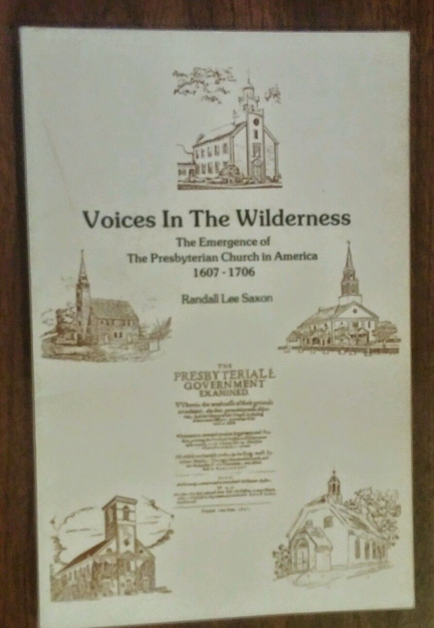 Saxon, Voices in the Wilderness.jpg