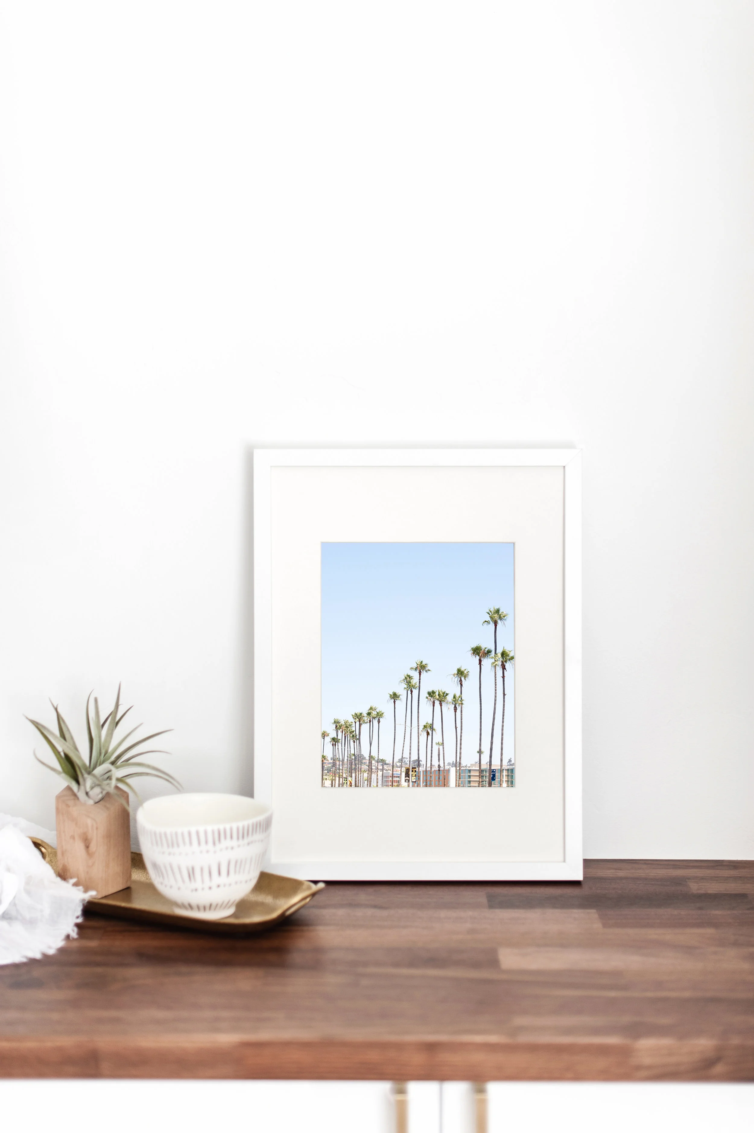 palm trees.jpg
