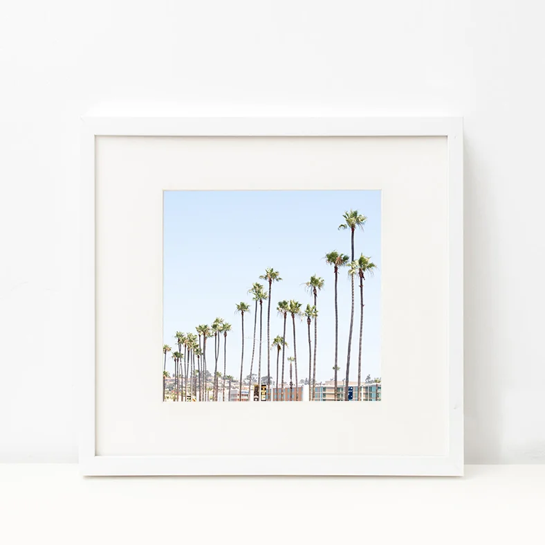 palm square.jpg