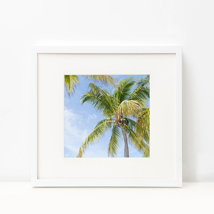 "Find Me Under The Palm Trees"